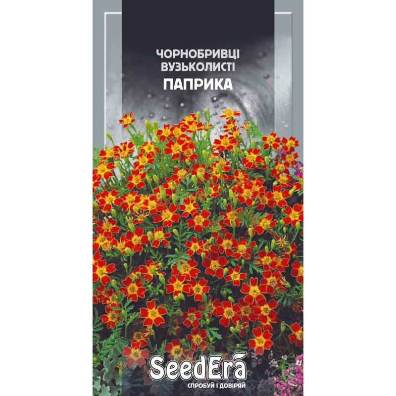 Чорнобривці Низькорослі Вузьколисті Паприка 0,1г, Seedera