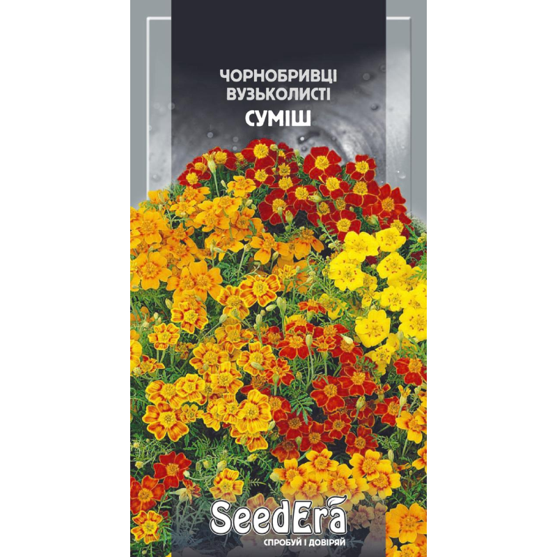 Чорнобривці Низькорослі Вузьколисті Суміш 0,1г, Seedera