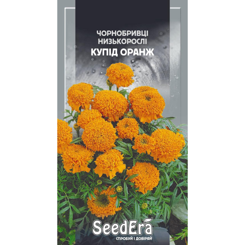 Насіння Чорнобривці Низькорослі Купід Оранж 0,5 г, Seedera