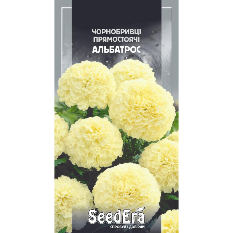 Насіння Чорнобривці Прямостоячі Альбатрос 0,1 г, Seedera