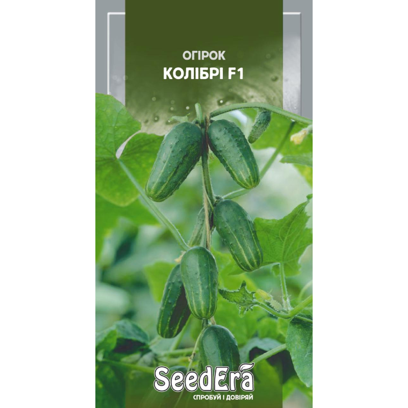 Огірок Колібрі F1, 10шт, Seedera