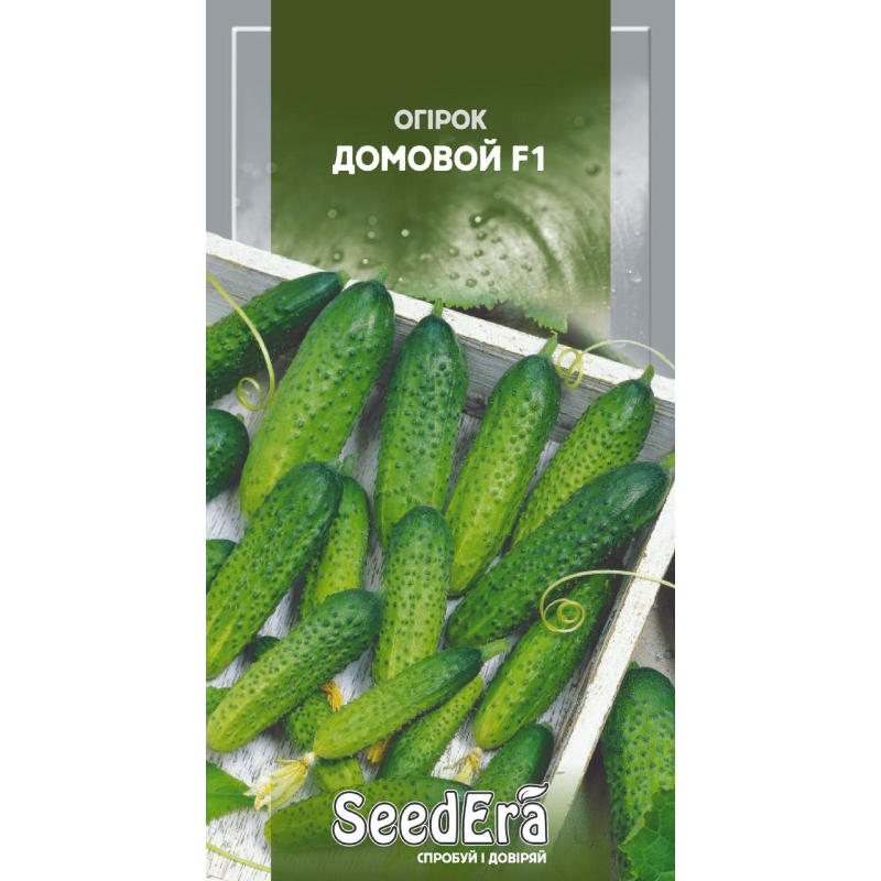 Огірок Домовой F1, 10шт, Seedera