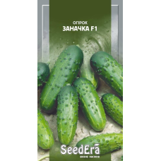 Огірок Заначка F1, 10шт, Seedera