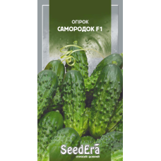 Огірок Самородок F1, 10шт, Seedera