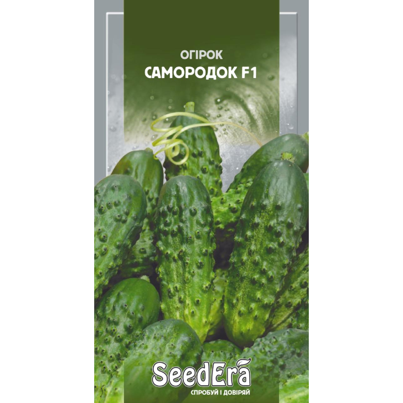 Огірок Самородок F1, 10шт, Seedera