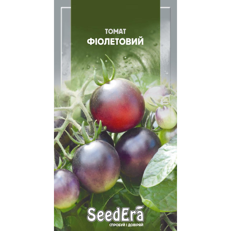 Насіння Томат Фіолетовий, 0,1г Seedera