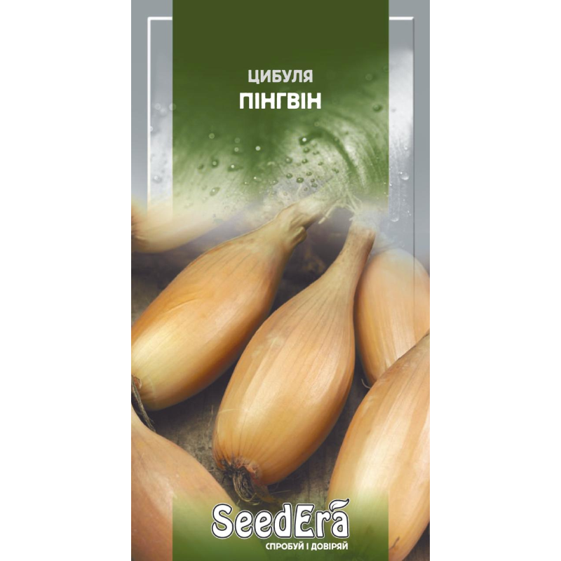 Насіння Цибуля Ріпчаста Пінгвін, 2 г, Seedera