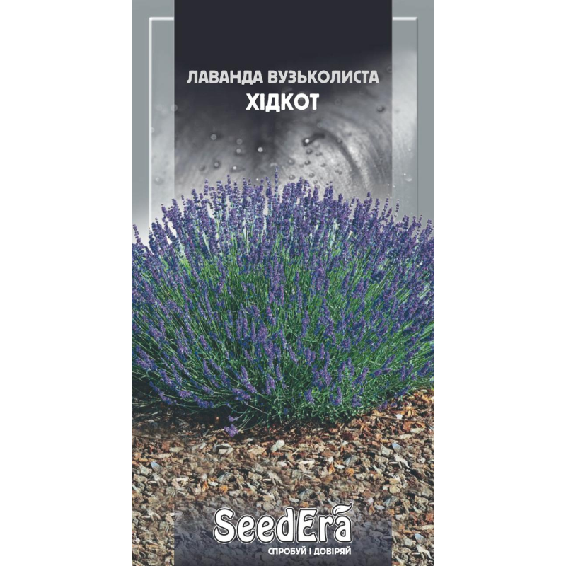 Лаванда Вузьколиста Хідкот, 0,1г, Seedera Лаванда Вузьколиста Хідкот, 0,1г, Seedera