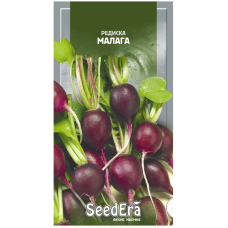 Насіння редиска Малага, 1г, Seedera