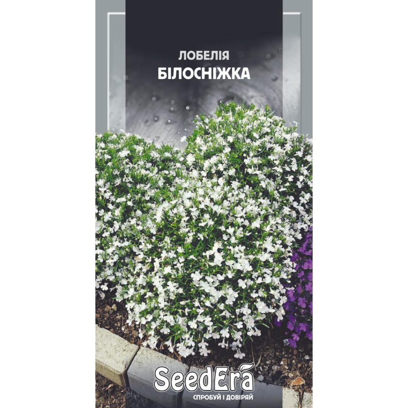 Насіння Лобелія Білосніжка 0,1 г, Seedera