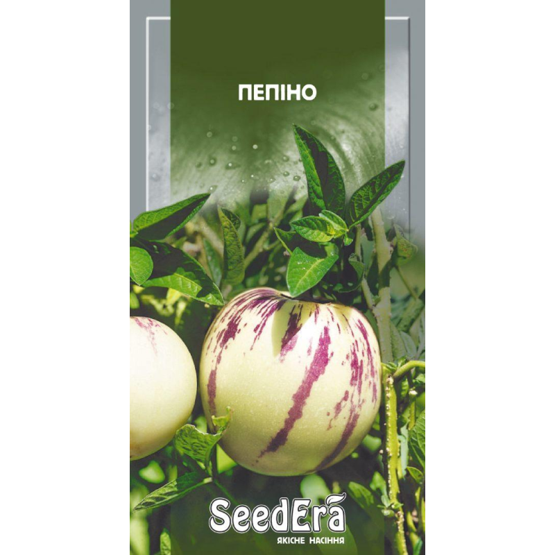 Насіння Пепіно, 5 шт, Seedera