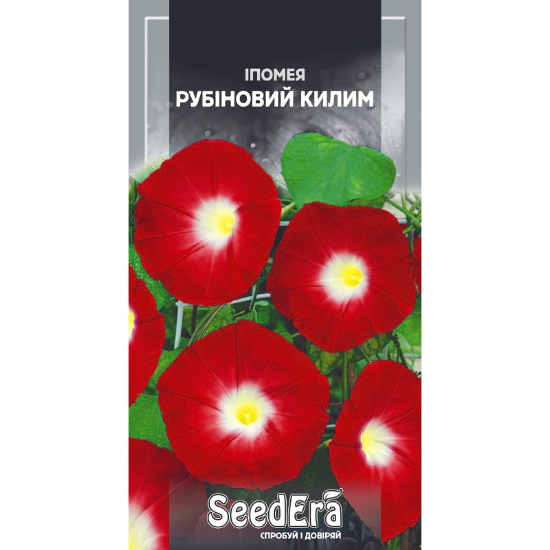 Іпомея Рубіновий Килим 1 г, Seedera