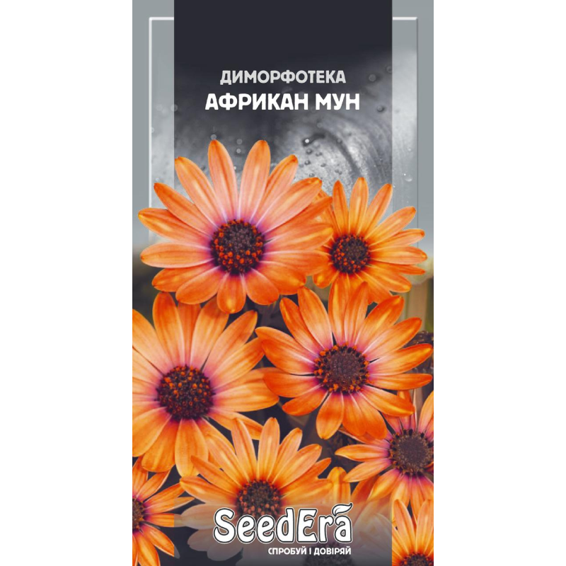 Насіння квітів Диморфотека Африкан Мун, 0,2 г, Seedera