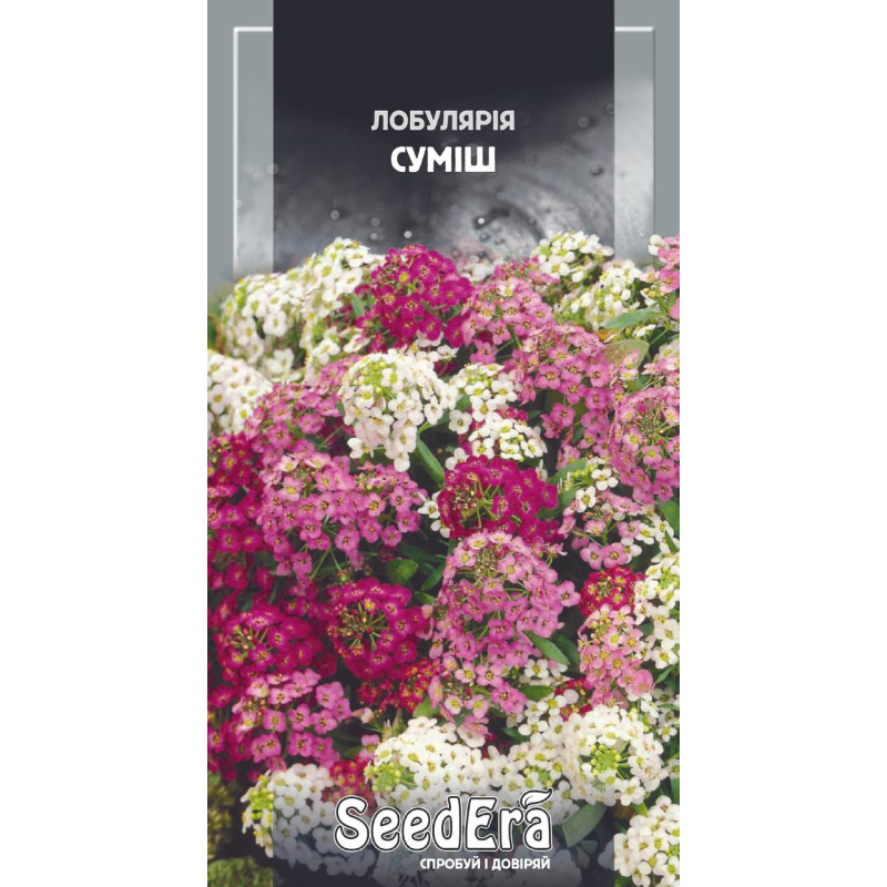 Насіння квітів Лобулярія Суміш, 0,2 г, Seedera