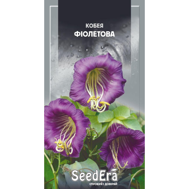 Насіння квітів Кобея Фіолетова 0,25 г, Seedera