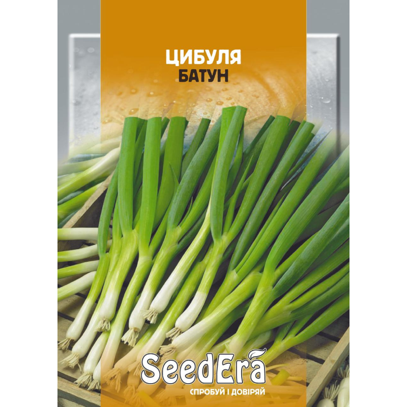 БП Насіння цибуля Батун, 10 г, Seedera
