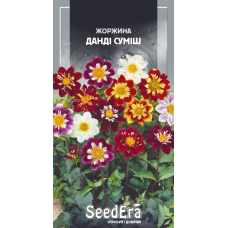 Насіння Жоржина Мінлива Данді Суміш, 0,5г, Seedera