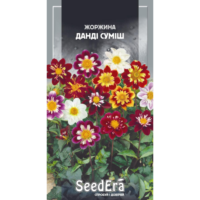 Насіння Жоржина Мінлива Данді Суміш, 0,5г, Seedera