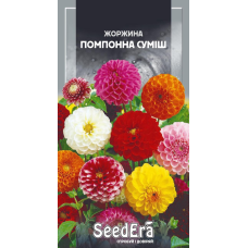 Насіння Жоржина Мінлива Помпонна Суміш, 0,5г, Seedera