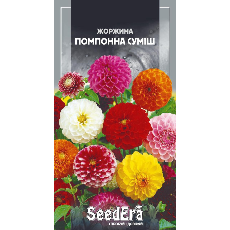 Насіння Жоржина Мінлива Помпонна Суміш, 0,5г, Seedera
