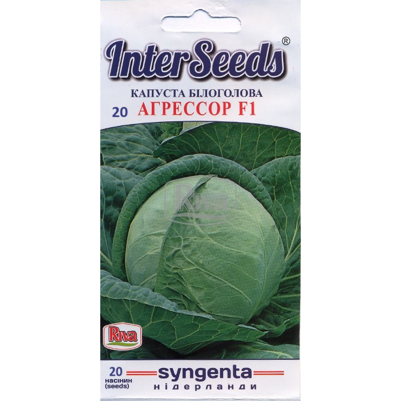 Насіння Капуста Агрессор F1, 20 шт, Syngenta Seeds B.V., Нідерланди