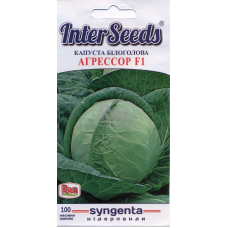 БП Насіння Капуста Агрессор F1, 100 шт, Syngenta Seeds B.V., Нідерланди