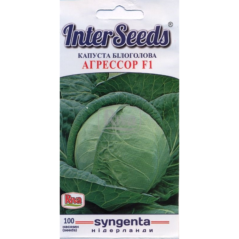 БП Насіння Капуста Агрессор F1, 100 шт, Syngenta Seeds B.V., Нідерланди