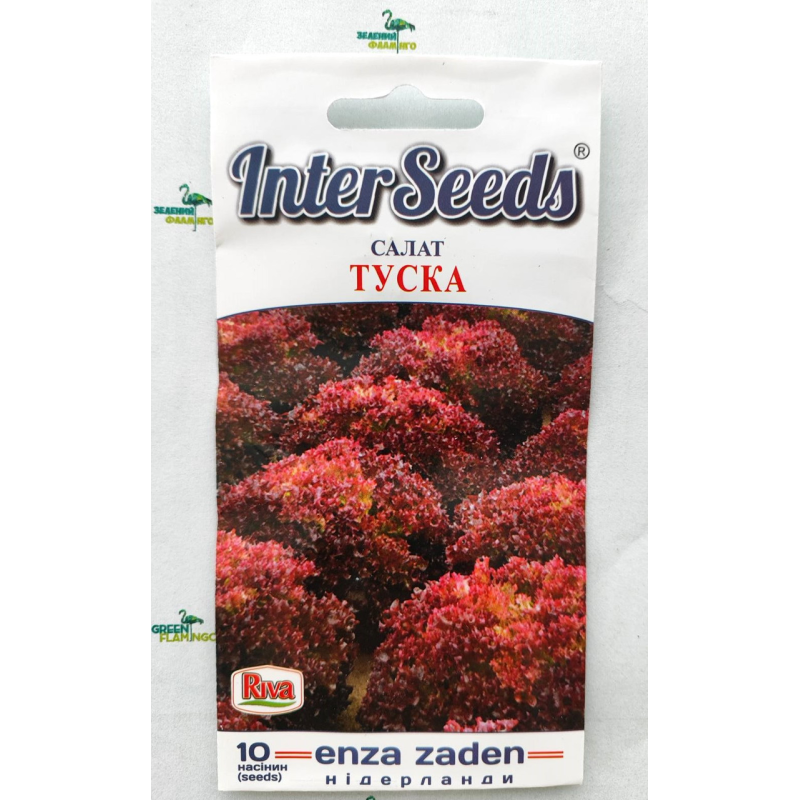 Салат Туска, 10шт, Enza Zaden, Нідерланди
