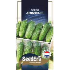 Насіння Огірок Атлантіс F1, 20шт, Seedera