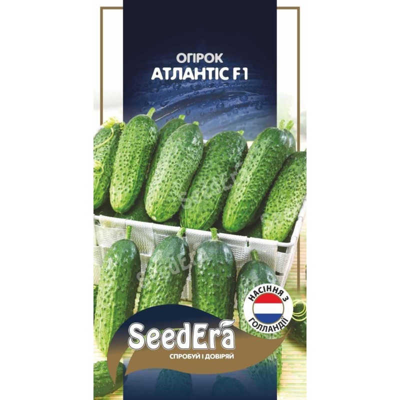 Насіння Огірок Атлантіс F1, 20шт, Seedera
