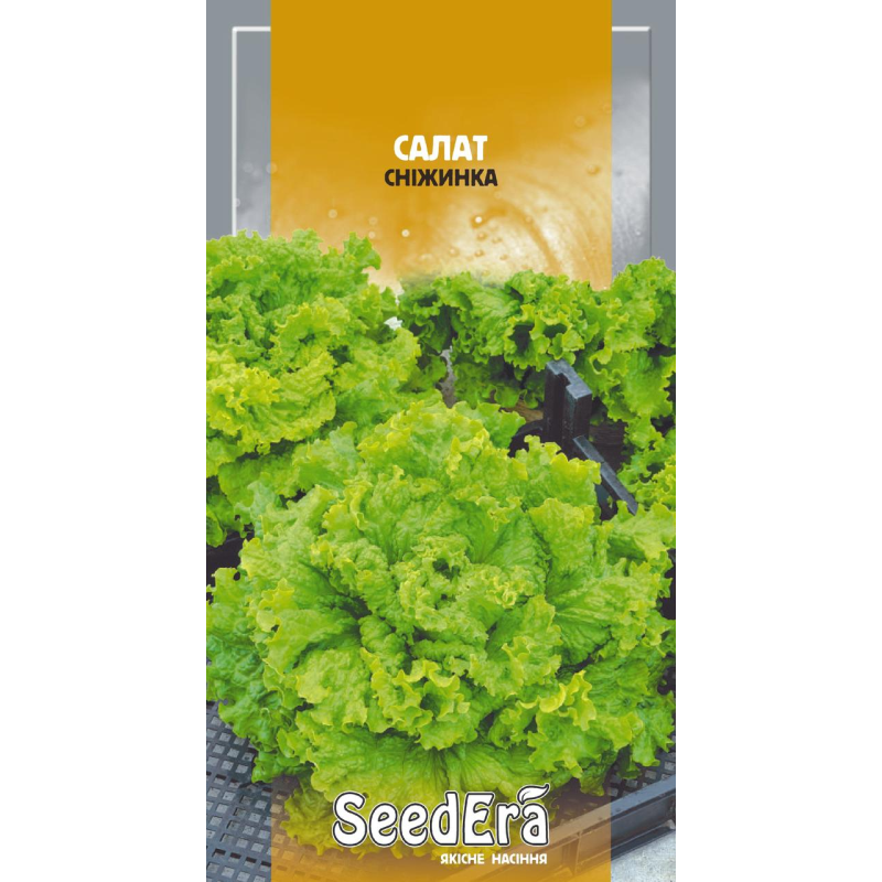 Насіння Салат Листовий Сніжинка 1г, Seedera