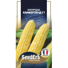 Кукурудза Цукрова Камберленд F1, 20 шт, SeeDera, Франція