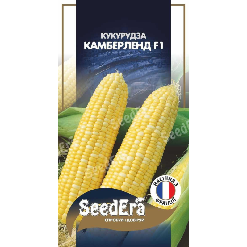 Кукурудза Цукрова Камберленд F1, 20 шт, SeeDera, Франція