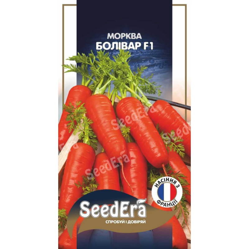 Насіння морква Болівар F1, 400шт, Seedera, Франція
