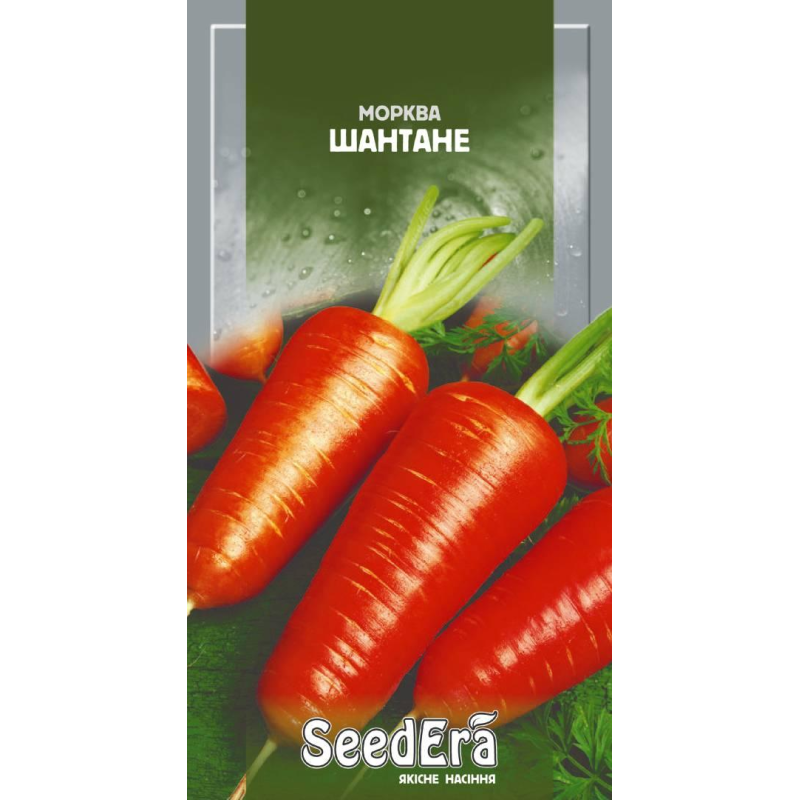 Морква Столова Шантане 2 г, Seedera