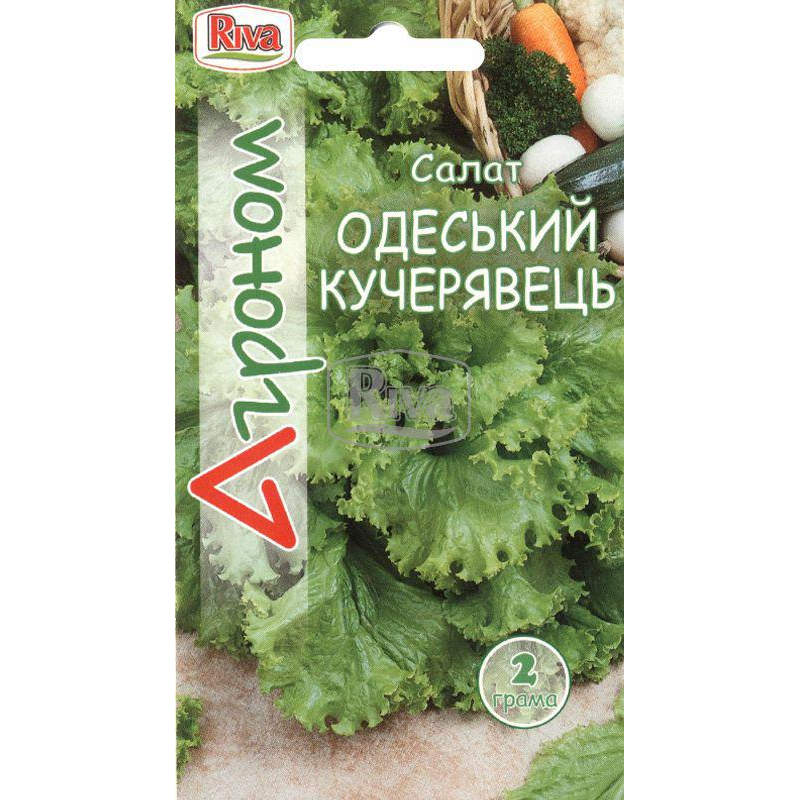 Насіння Салат “Одеський Кучерявець” Агроном, 2 г