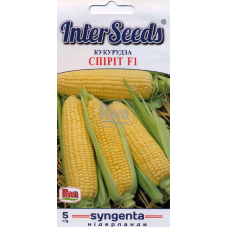 Кукурудза Цукрова Спіріт F1 5 г,  Syngenta Seeds B.V., Нідерланди