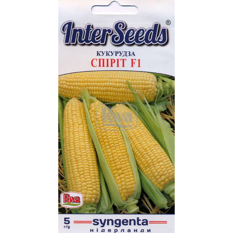 Кукурудза Цукрова Спіріт F1 5 г,  Syngenta Seeds B.V., Нідерланди