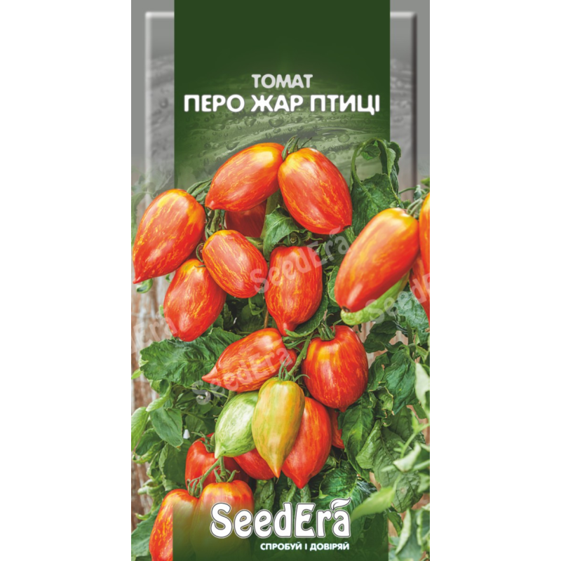 Семена томат Томат Перо Жар Птиці, 0,1г Seedera