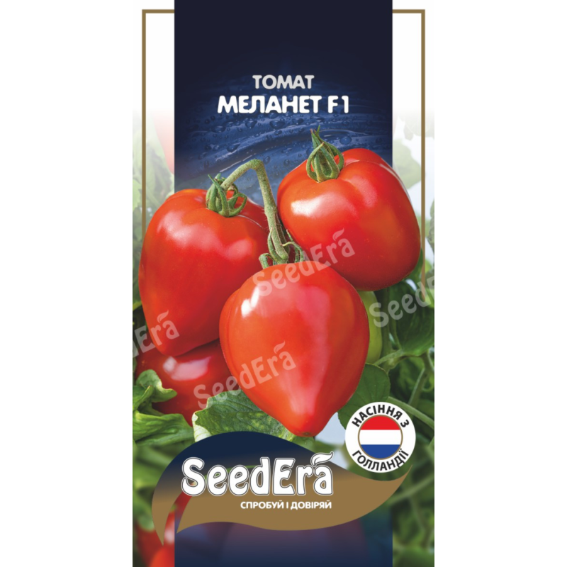 Насіння томат Меланет F1 (Голандія), 10шт Seedera