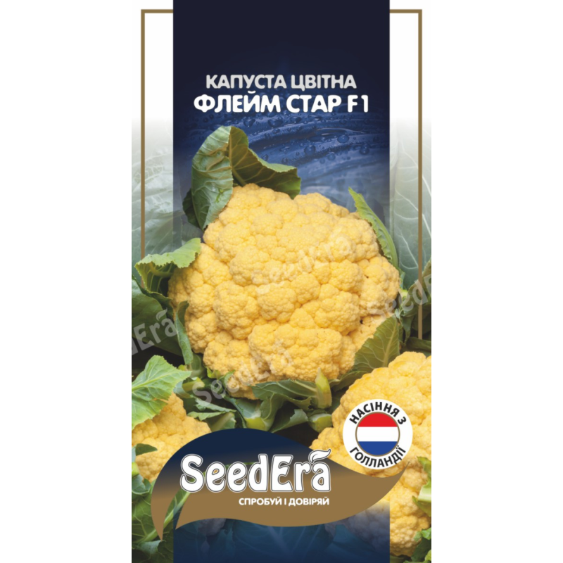 Капуста Цвітна Флейм Стар F1 10 шт, Seedera (Голландія)