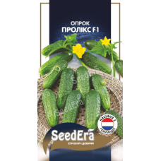 Насіння Ранньостиглий Огірок Пролікс F1 10шт,  Seedera (Голандія)