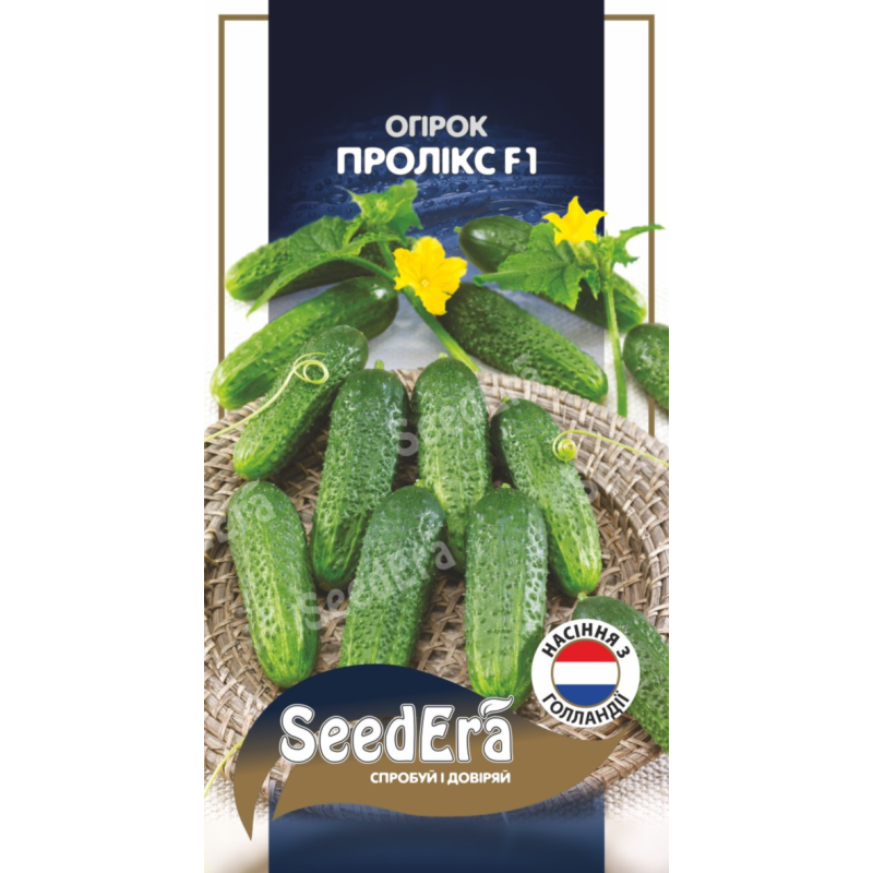 Насіння Ранньостиглий Огірок Пролікс F1 10шт,  Seedera (Голандія)