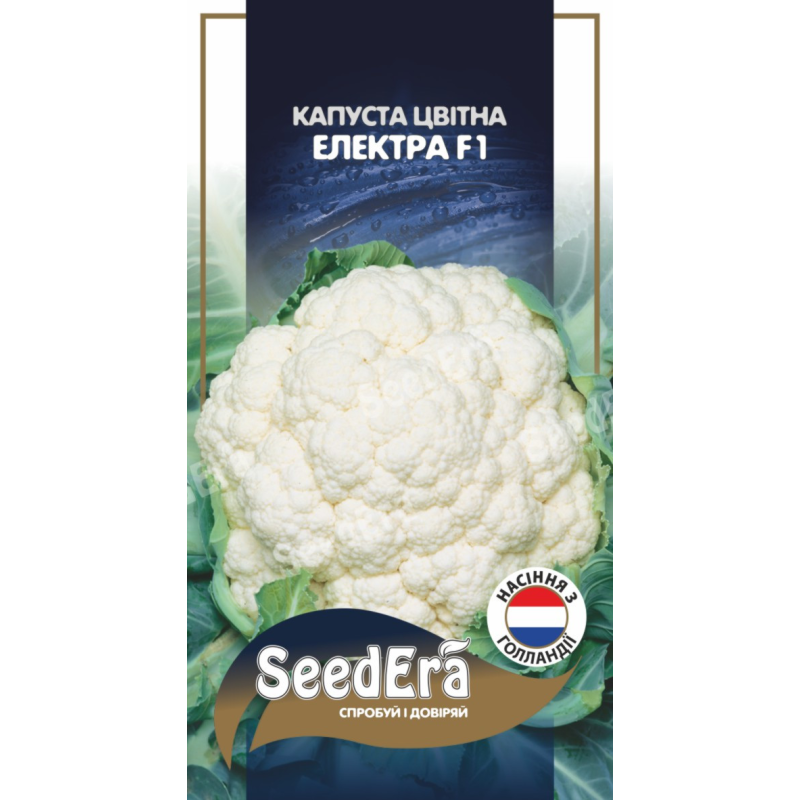 Капуста Цвітна Електра F1, 20 шт, Seedera (Голландія)