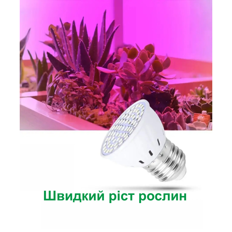 Фітолампа 48LED з цоколем E27 для підсвічування рослин 2.1Вт