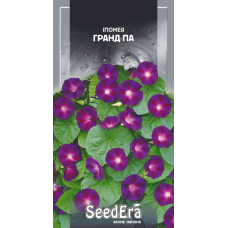 Іпомея Фіолетова Гранд Па 0.5 г, Seedera