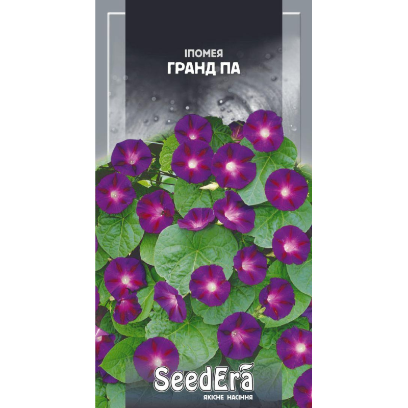 Іпомея Фіолетова Гранд Па 0.5 г, Seedera