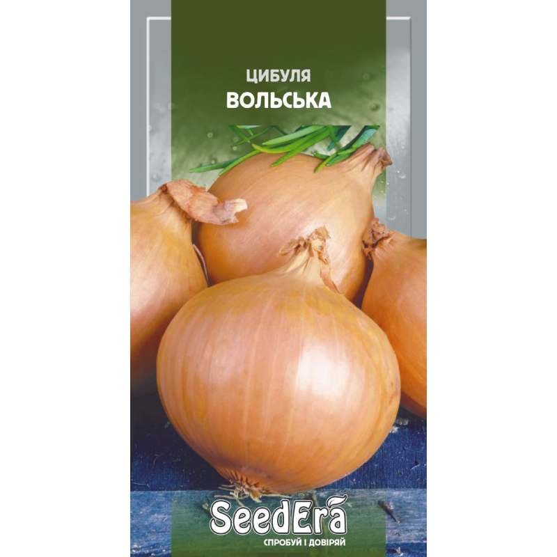 Цибуля Ріпчаста Вольська 2г, Seedera