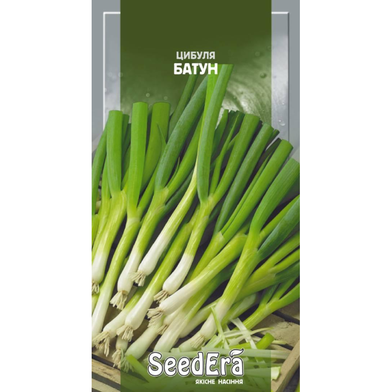 Насіння цибуля Батун, 1г, Seedera
