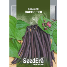 Квасоля Спаржева Кущова Парпл Тіпі 20г, Seedera